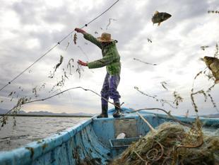 Türkiye expands fishing operations into Somali waters