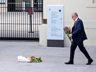 Australia announces gun buyback after Bondi attack