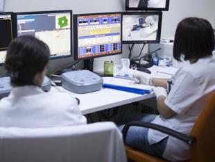 Turkish graduates land first job in under 5 months: Report