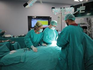 45,000 people register as organ donors via Türkiye’s e-Nabız platform in two months