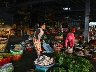 Myanmar pro-junta party claims huge win in poll