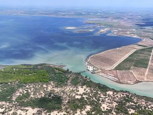 Çukurova Delta hosts rich birdlife even in winter