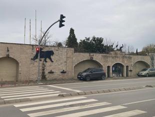Türkiye’s prominent zoo closes after 33 years of operation