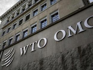 World Trade Organization must reform or die