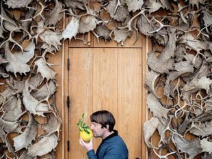 Question behind Noma controversy