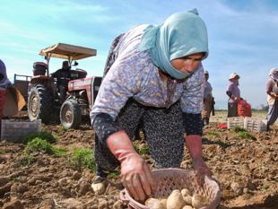 Unemployment in 2025 down to 8.3 percent, lowest in 21 years