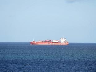 Another Turkish-owned ship has crossed Hormuz strait: minister