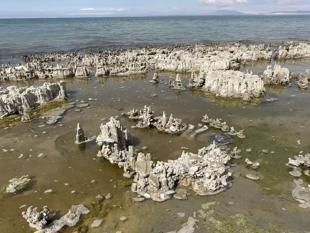 Van Lake microbialites advance in Guinness World Records bid