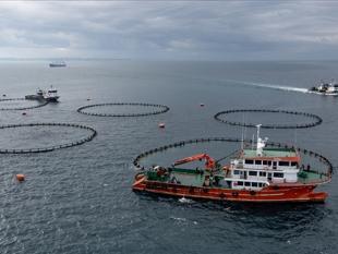 Türkiye targets $2.5 billion in seafood exports for 2026