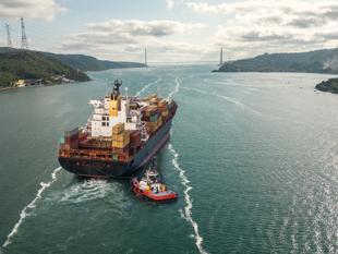 Exports surge and trade deficit narrows nearly 30 pct in April