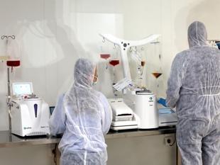 Trial phase launched at cell therapy center for cancer treatment