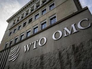 WTO sides with China over Türkiye in electric car trade case