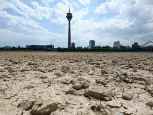 As Europes rivers recede, shippers scramble to limit damage