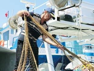 Fishing ban ends as Black Sea fishermen anticipate bumper bonito season