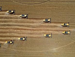 World Bank approves $750 million financing for Türkiye’s agrifood sector