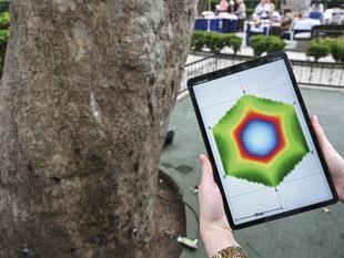 Acoustic tomography to assess hidden decay in Şişli’s century-old trees