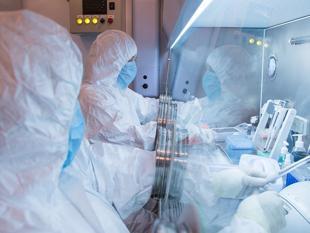 WHO says ‘low’ risk in Russia following plague reports