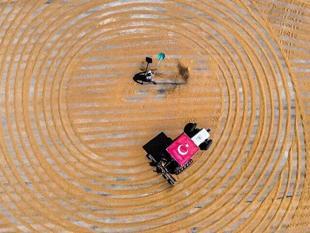 Turkish agricultural exports hit record high in January-September