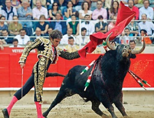 Barcelona stages final bullfight before ban