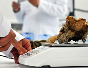 Anatolian fungi found to provide possible cancer treatment