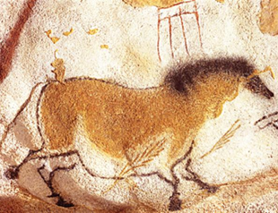 Cave-horse painters draw what they see