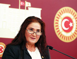 Controversy over Dersim killings apology widening