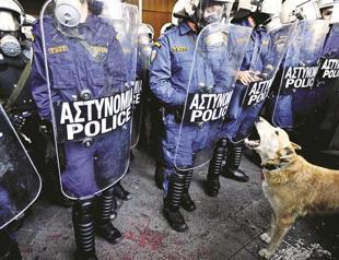 Protest dog in Greece a global phenomenon