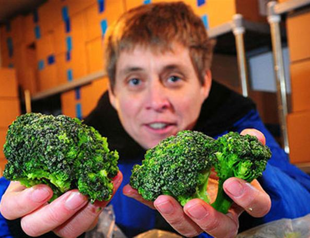 UK scientists grow super brocoli