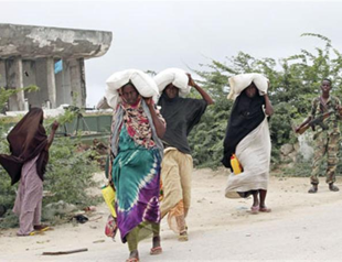 Turkish ministry to train Somalis to fish, raise grain