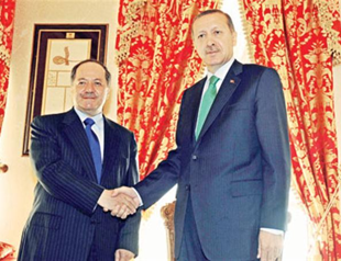 Parliament the key to solving Kurdish issue