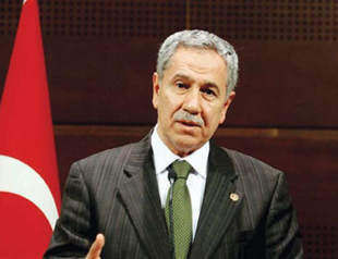 Arınç appeals for release of deputies
