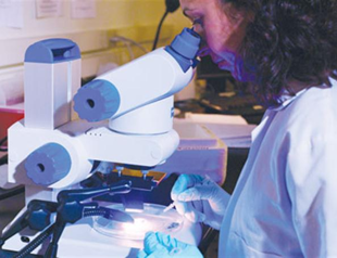 Malaria may be cured with new vaccines