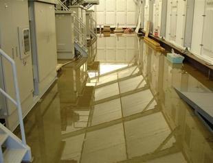 Radioactive water leaks from crippled Japanese nuke plant