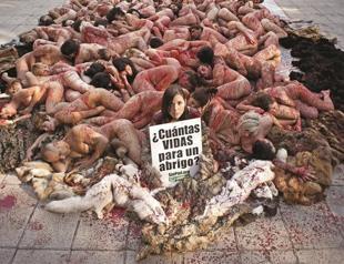 Animal rights activists stage naked protest