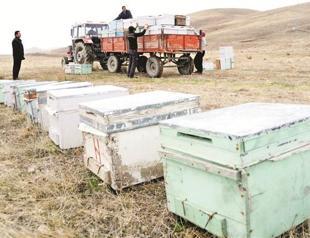 Quake-hit businesses on the eve of going belly up