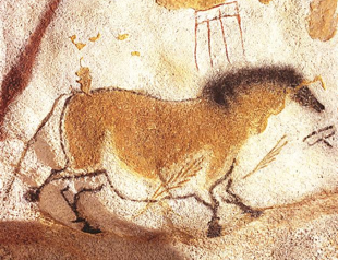 Cave-horse painters draw what they see