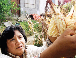 US asks Turkey to change GMO regulation, daily says