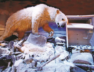 Looking closer at climate change