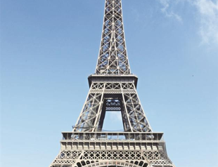 Eiffel could become ‘world’s largest tree’
