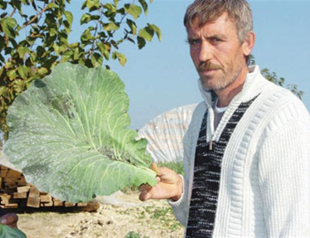 White material to be searched by officials