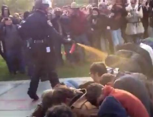 Passive Occupy protesters take pepper spray blast