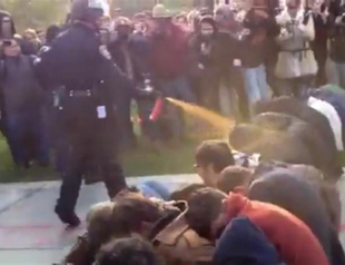 Passive Occupy protesters take pepper spray blast