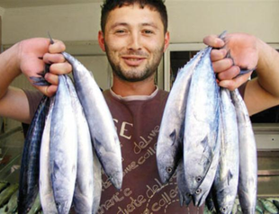 Body reaches deal to preserve sharks