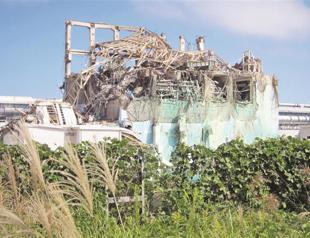 Japan mulls bailing out Fukushima plant operator