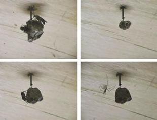 Project defines idea of institution at Salt Galata