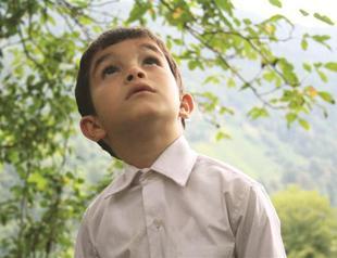 New support projects to be made for film sector