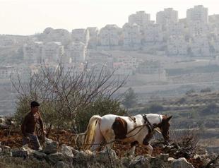 NGOs slam Israel over political E. Jerusalem parks