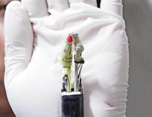 New creation hope for stomach cancer