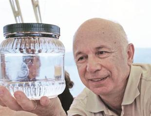 Deadly species come to Turkey’s Aegean coasts