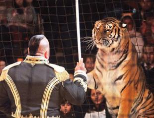Paris Circus waiting children during school year holiday